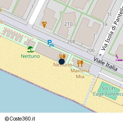 Posizione approssimativa di Nettuno