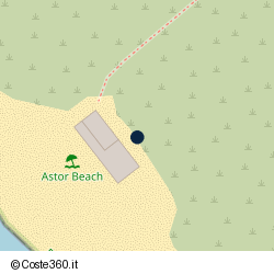 Posizione approssimativa di Astor Village